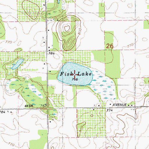 Topographic Map of Fisk Lake, MI