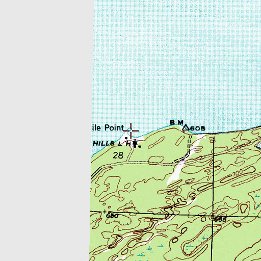 Topographic Map of Five Mile Point, MI