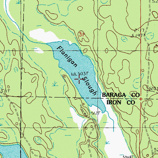 Topographic Map of Flanigan Slough, MI