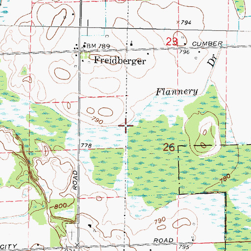 Topographic Map of Flannery Drain, MI