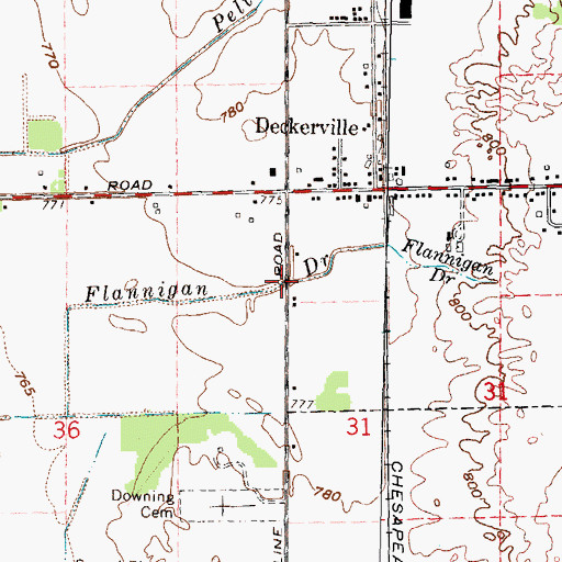 Topographic Map of Flannigan Drain, MI
