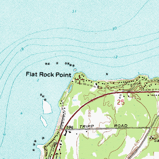 Topographic Map of Flat Rock Point, MI