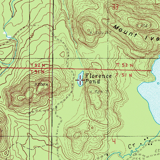 Topographic Map of Florence Pond, MI