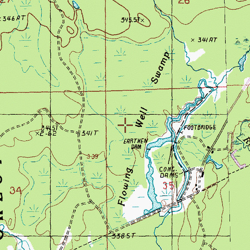 Topographic Map of Flowing Well Swamp, MI