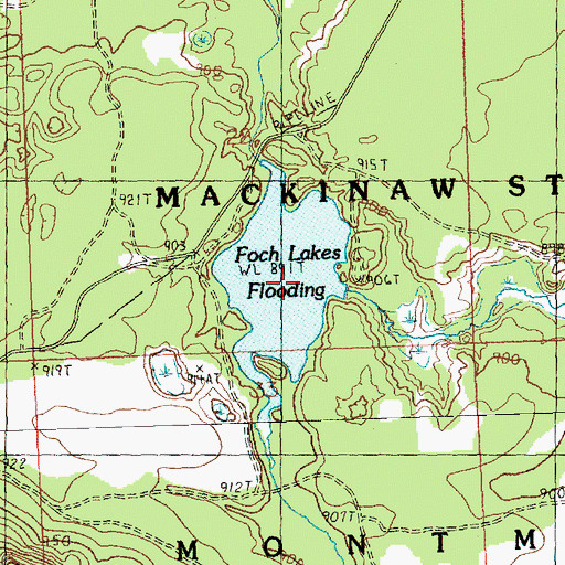 Topographic Map of Foch Lakes, MI