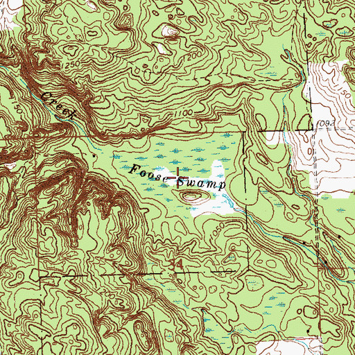 Topographic Map of Foose Swamp, MI