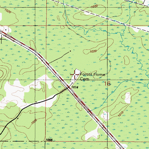 Topographic Map of Forest Home Cemetery, MI