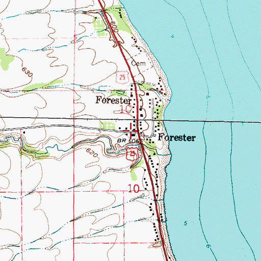 Topographic Map of Forester, MI