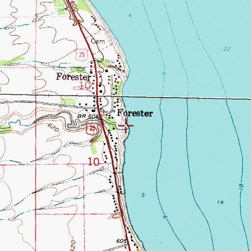 Topographic Map of Forester Creek, MI