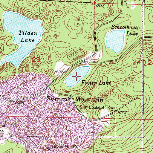 Topographic Map of Foster Lake, MI