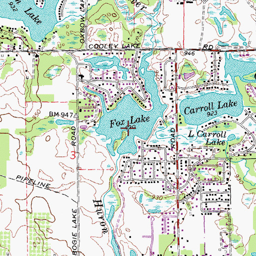 Topographic Map of Fox Lake, MI