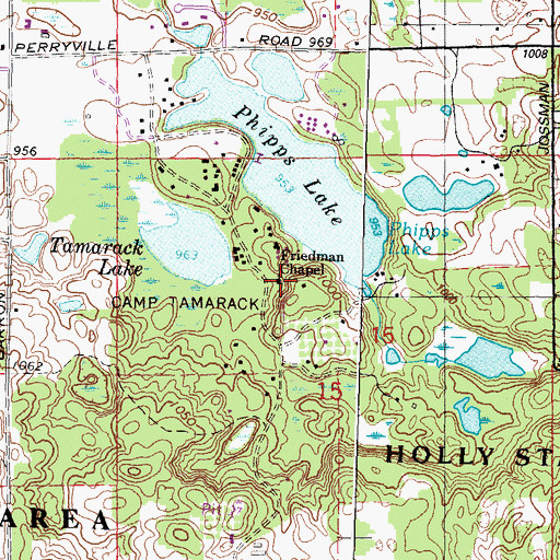 Topographic Map of Friedman Chapel, MI