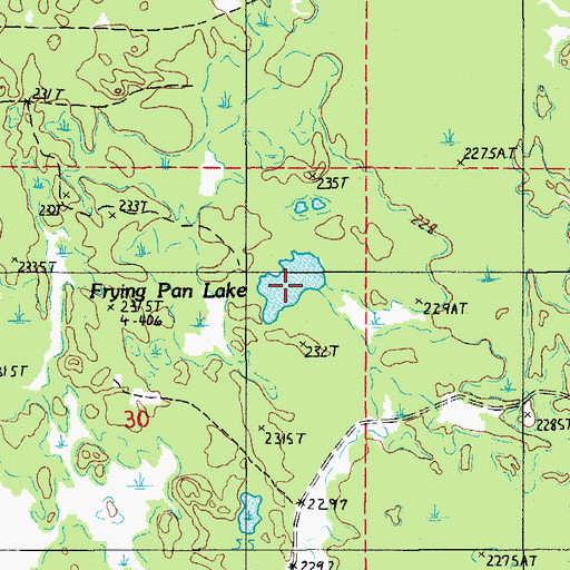 Topographic Map of Frying Pan Lake, MI