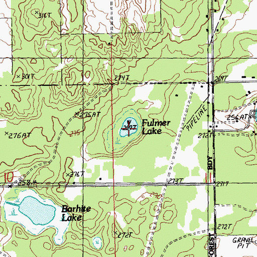 Topographic Map of Fulmer Lake, MI