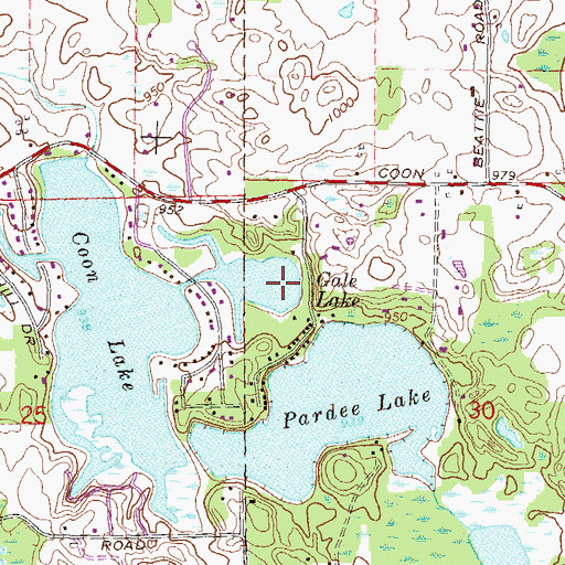 Topographic Map of Gale Lake, MI
