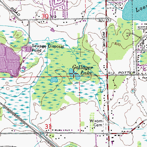 Topographic Map of Gallager Lake, MI