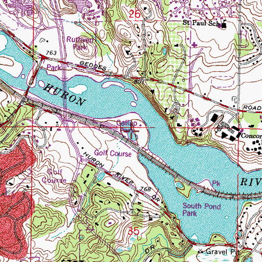 Topographic Map of Gallup Park, MI