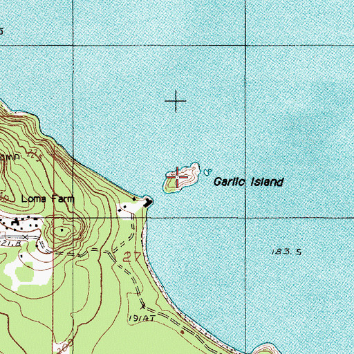 Topographic Map of Garlic Island, MI