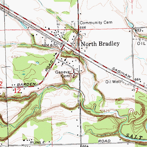 Topographic Map of Geneva Cemetery, MI