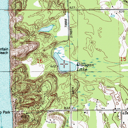 Topographic Map of Gilligan Lake, MI