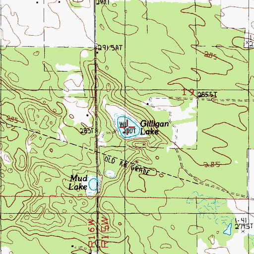 Topographic Map of Gilligan Lake, MI