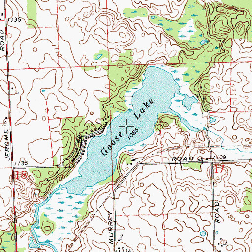 Topographic Map of Goose Lake, MI