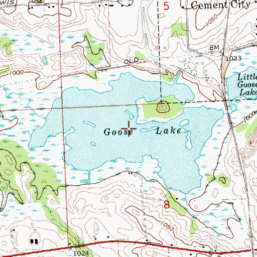Topographic Map of Goose Lake, MI