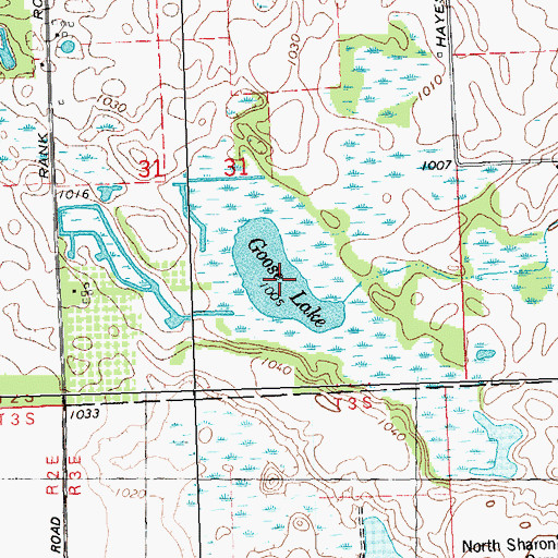 Topographic Map of Goose Lake, MI