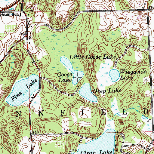 Topographic Map of Goose Lake, MI