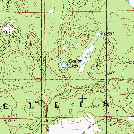 Topographic Map of Goose Lake, MI