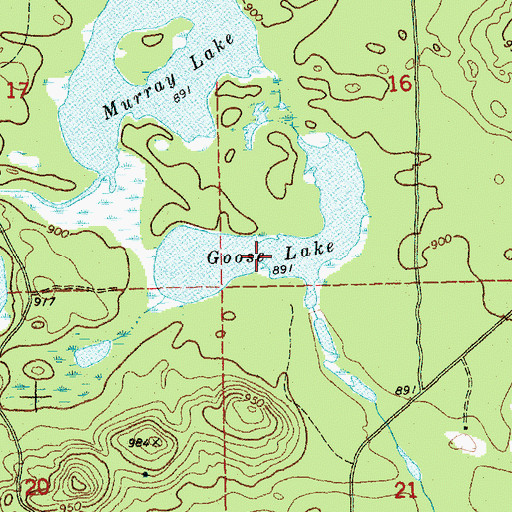 Topographic Map of Goose Lake, MI