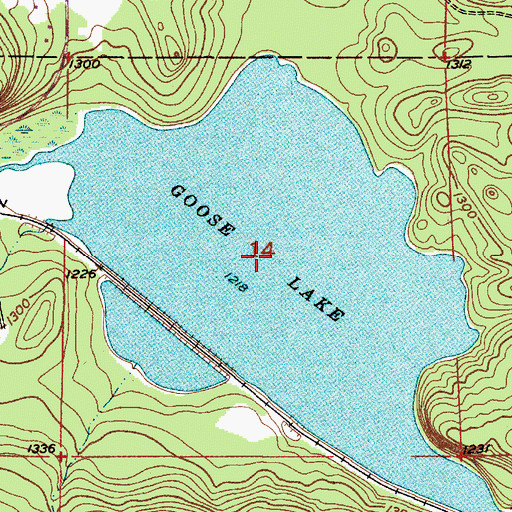 Topographic Map of Goose Lake, MI