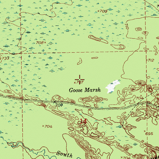 Topographic Map of Goose Marsh, MI