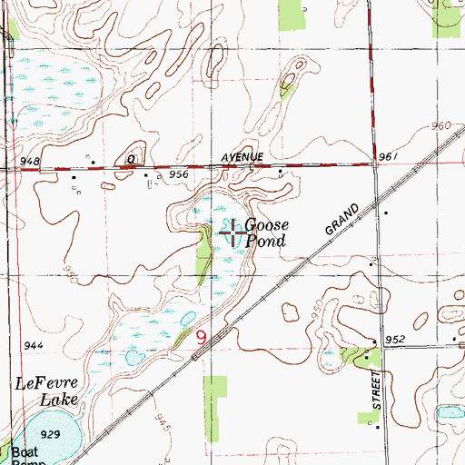 Topographic Map of Goose Pond, MI