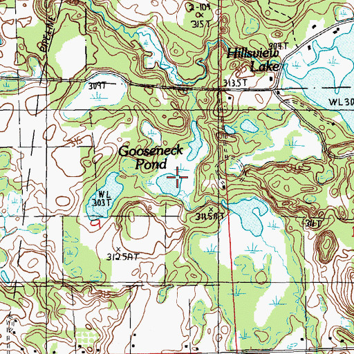 Topographic Map of Gooseneck Pond, MI