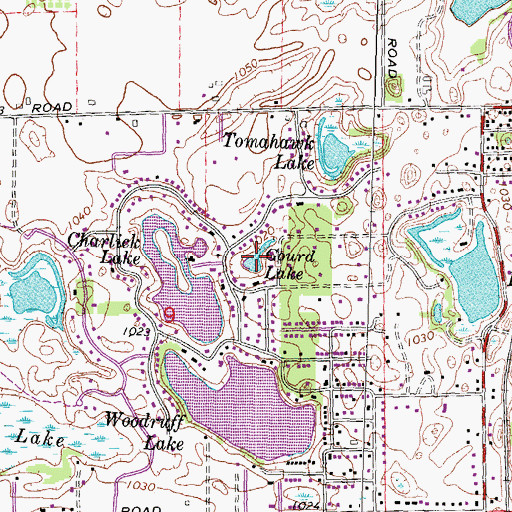 Topographic Map of Gourd Lake, MI