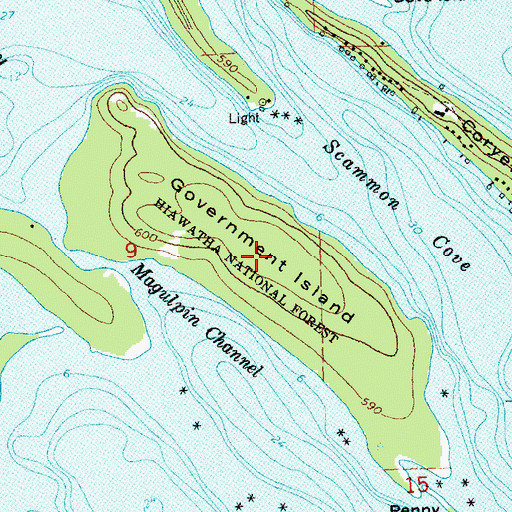 Topographic Map of Government Island, MI