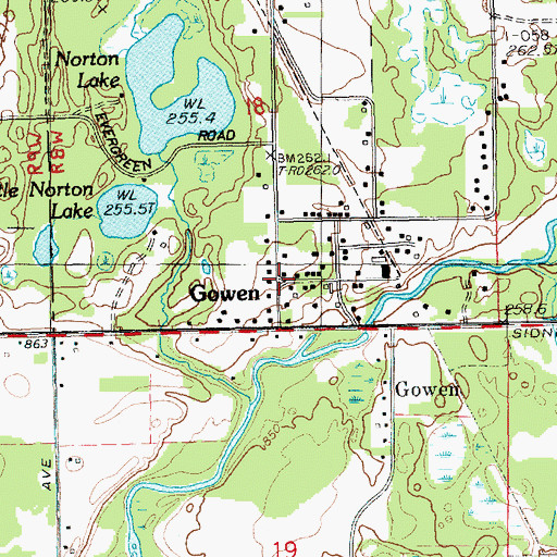 Topographic Map of Gowen, MI