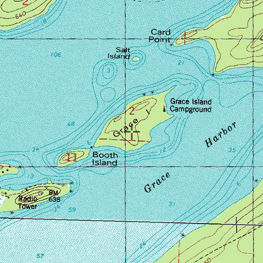Topographic Map of Grace Island, MI