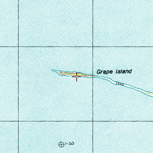 Topographic Map of Grape Island, MI