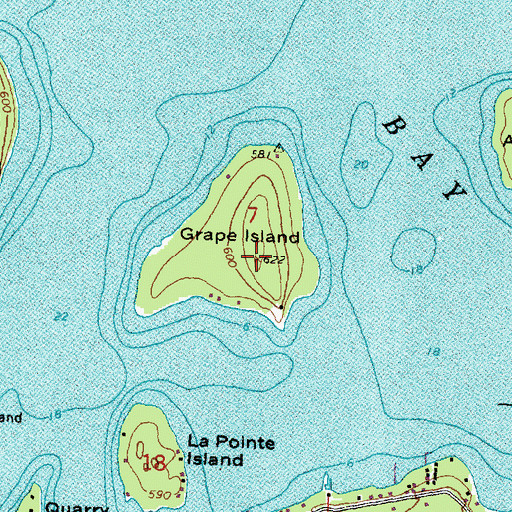 Topographic Map of Grape Island, MI