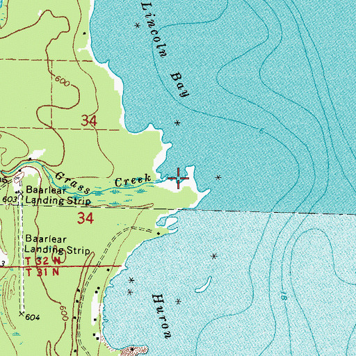 Topographic Map of Grass Creek, MI