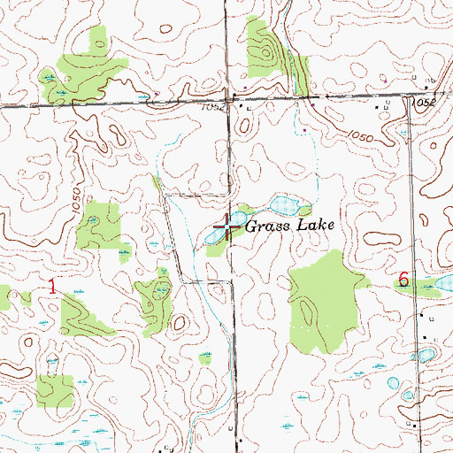 Topographic Map of Grass Lake, MI