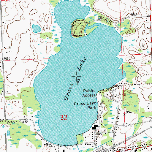 Topographic Map of Grass Lake, MI