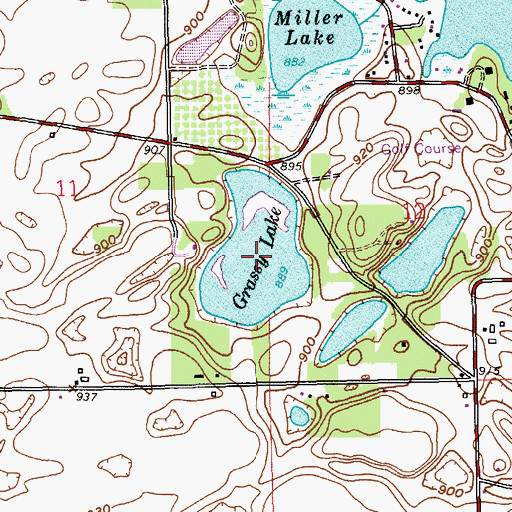 Topographic Map of Grassy Lake, MI