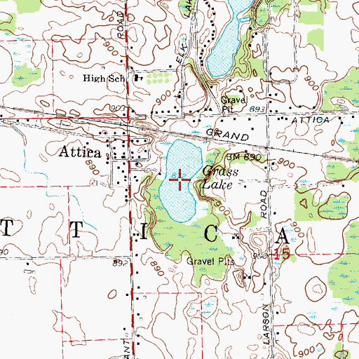 Topographic Map of Grass Lake, MI
