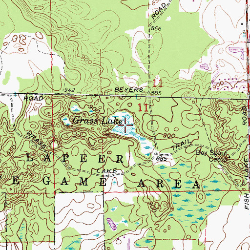 Topographic Map of Grass Lake, MI