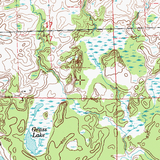 Topographic Map of Grass Lake, MI