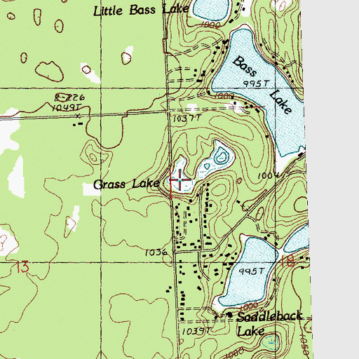 Topographic Map of Grass Lake, MI