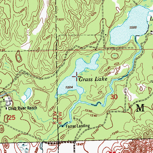 Topographic Map of Grass Lake, MI
